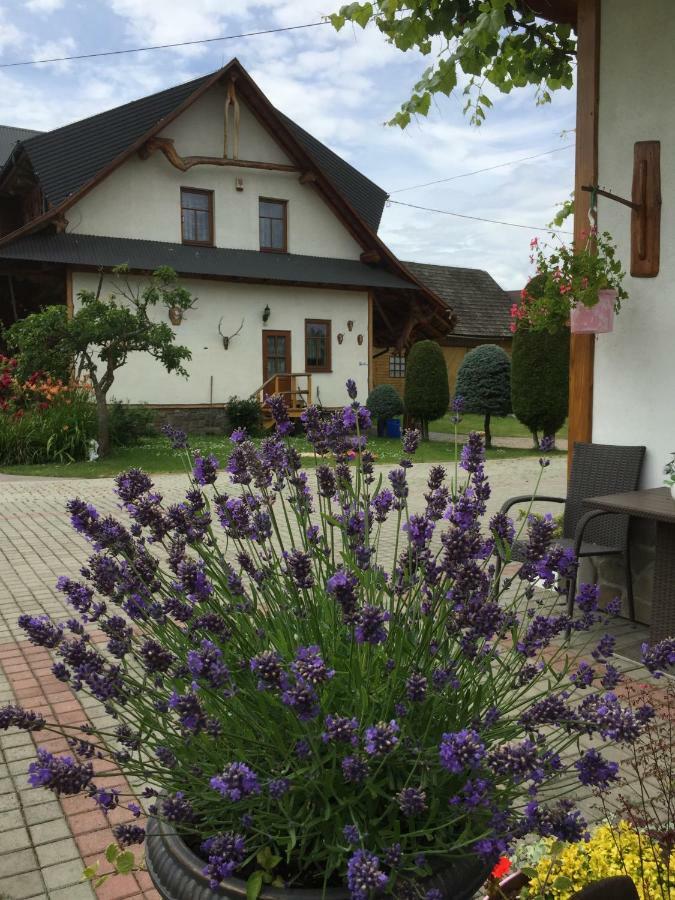 Dom Rodziny Sojkow Bed & Breakfast Bialka Tatrzanska Bagian luar foto