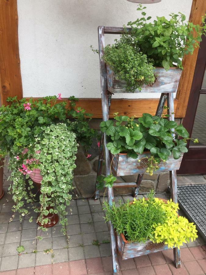 Dom Rodziny Sojkow Bed & Breakfast Bialka Tatrzanska Bagian luar foto